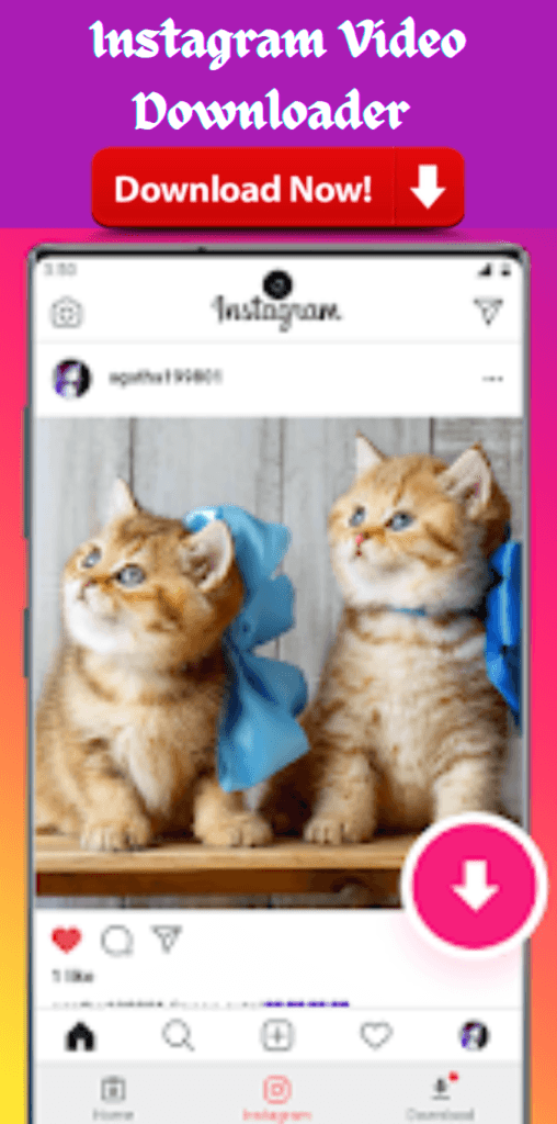 Instagram Video Downloader APK Download